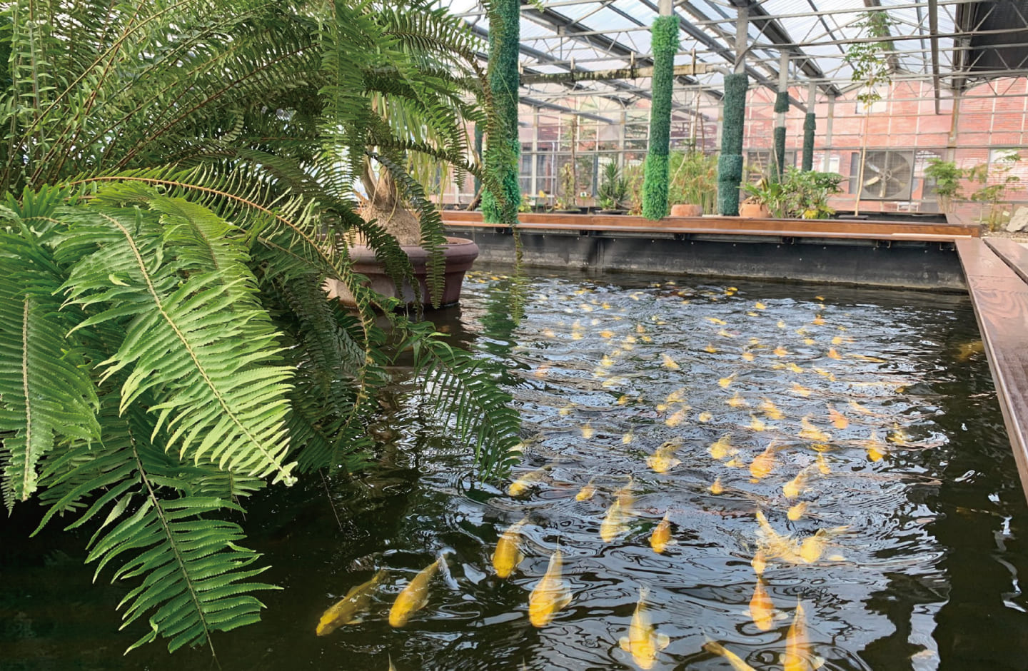 Just Sleep Jiaoxi: Orchid Garden Eco-Stay